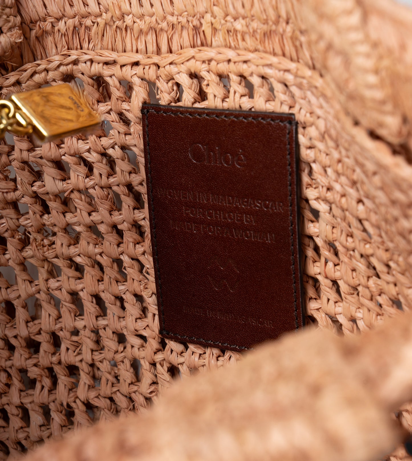 CHLOE- Summer Banana Bag