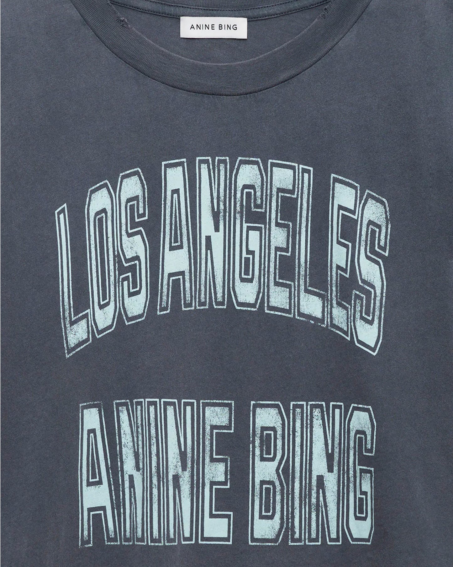 ANINE BING Johnny Cropped Tee Washed Grey