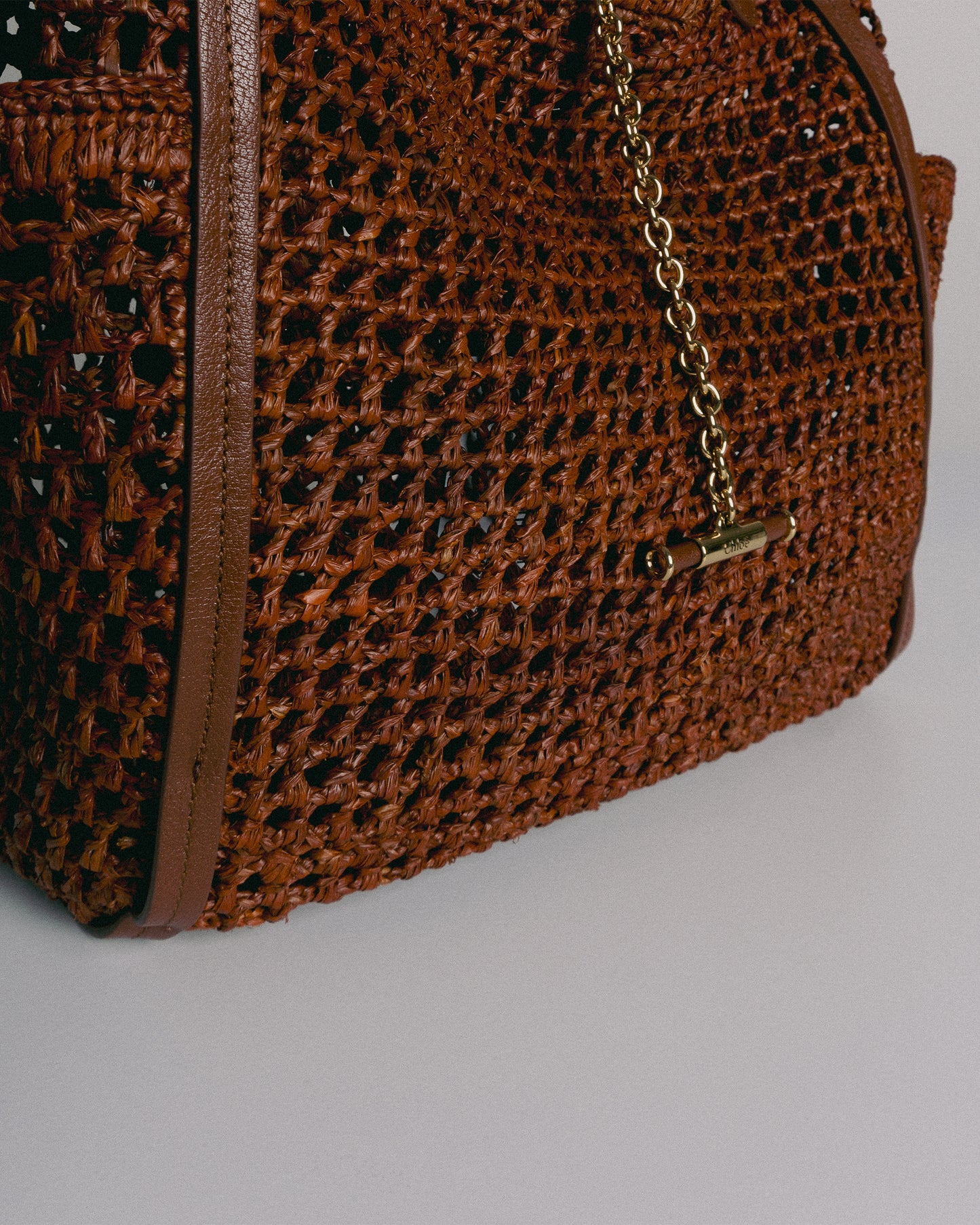 CHLOÉ S906 Iconic Bag Clay Brown