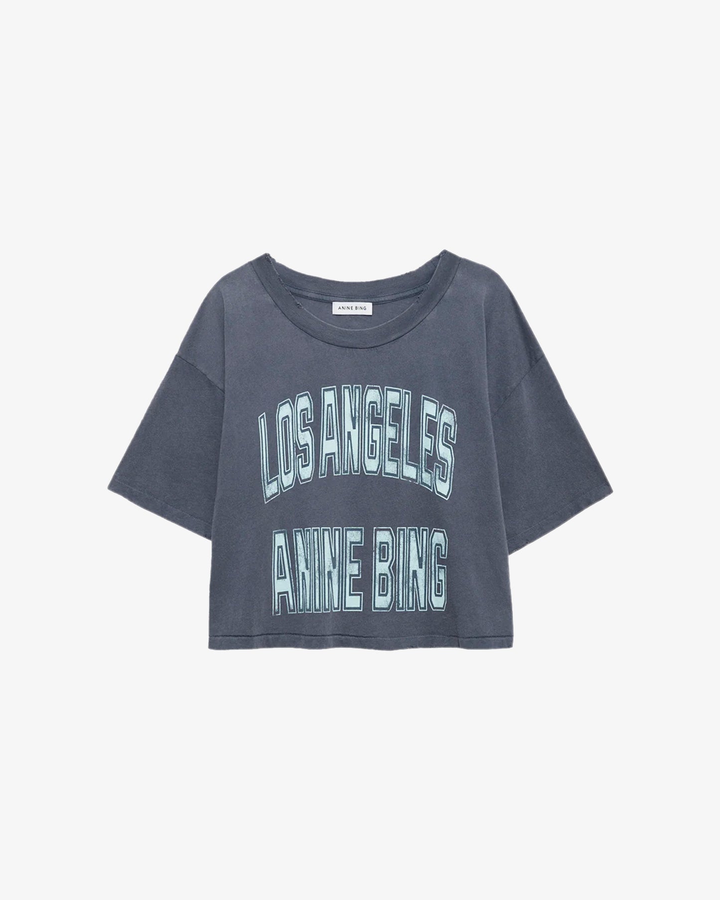 ANINE BING Johnny Cropped Tee Washed Grey
