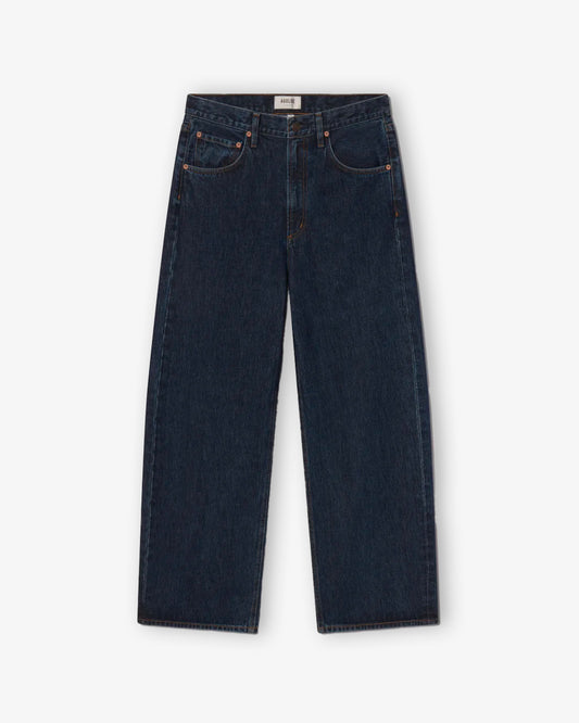 AGOLDE Low Curve Jean in Pedulum